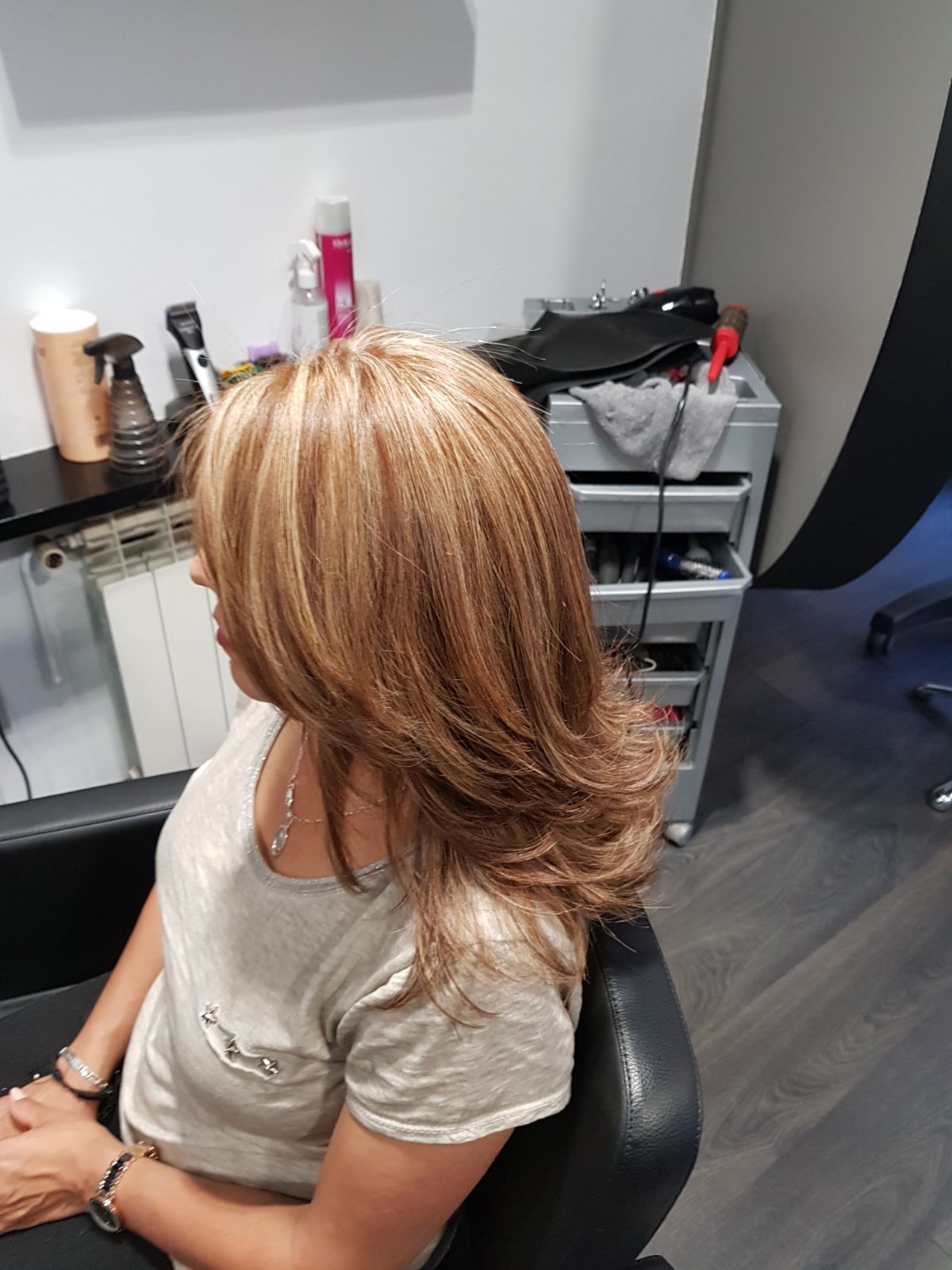 Galería de imágenes